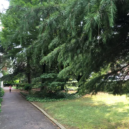 Bio Salix بادوفا