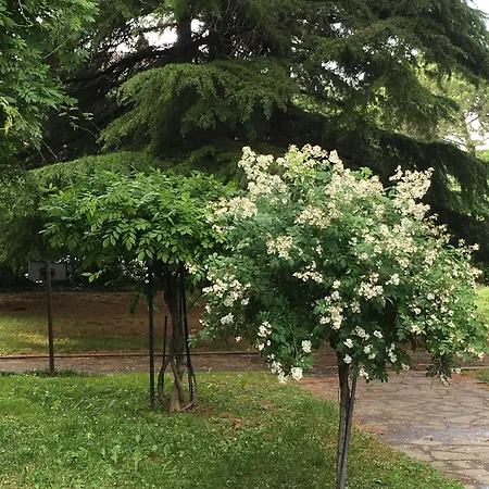 Couette-café Bio Salix