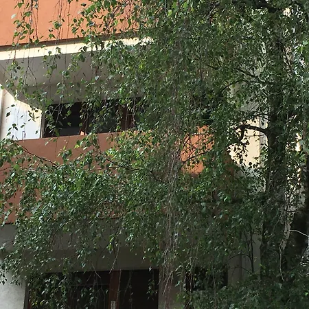 Bio Salix بادوفا