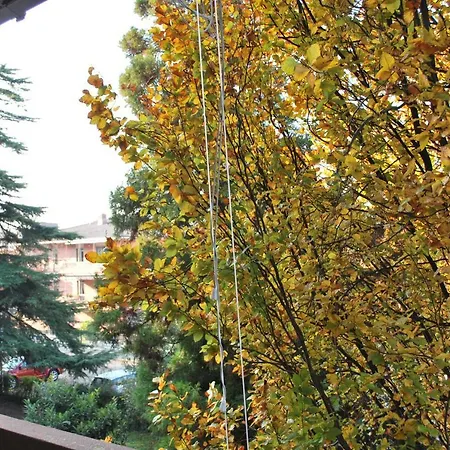 Bed & Breakfast Bio Salix Padova