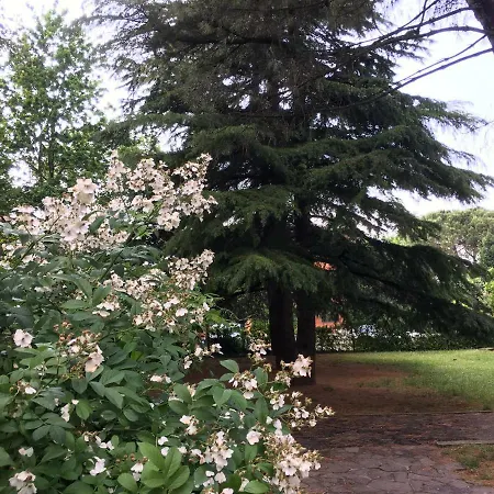 Bio Salix