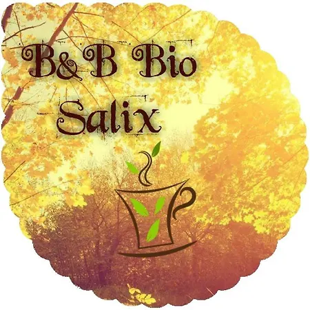 Bio Salix Padoue