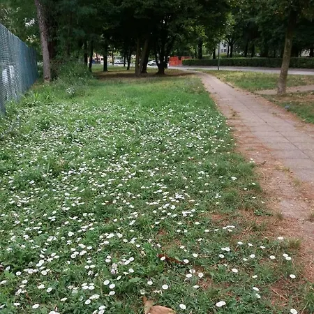 فندق مبيت وإفطار Bio Salix بادوفا