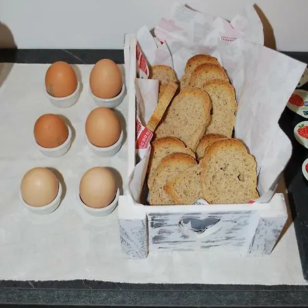 Bio Salix Bed & Breakfast Padova