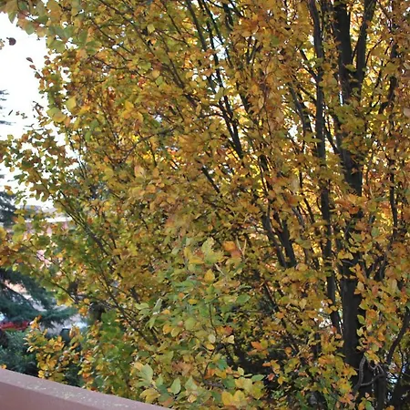 Couette-café Bio Salix Padoue