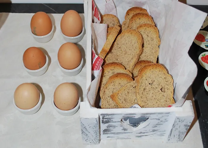 Alojamento de Acomodação e Pequeno-almoço Bio Salix Pádua