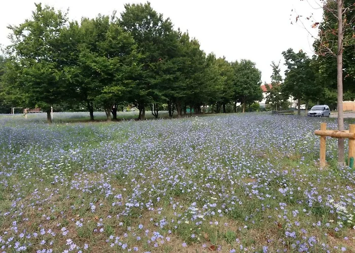 Bio Salix Alojamento de Acomodação e Pequeno-almoço Pádua