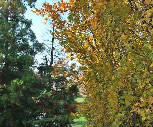 Alojamento de Acomodação e Pequeno-almoço Bio Salix Pádua