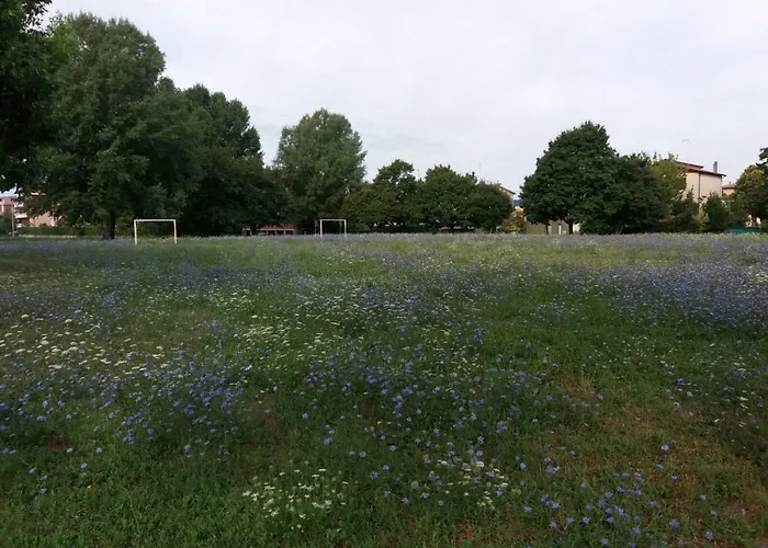 Bio Salix Alojamento de Acomodação e Pequeno-almoço 3*