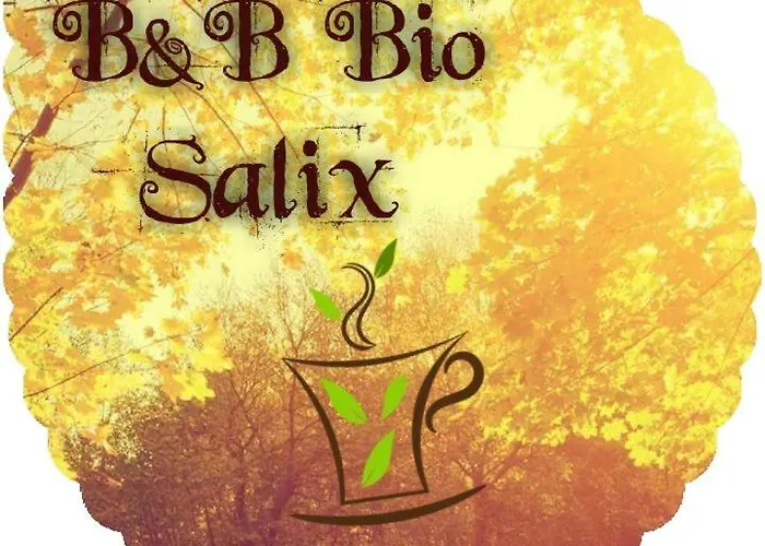 Bio Salix Pádua