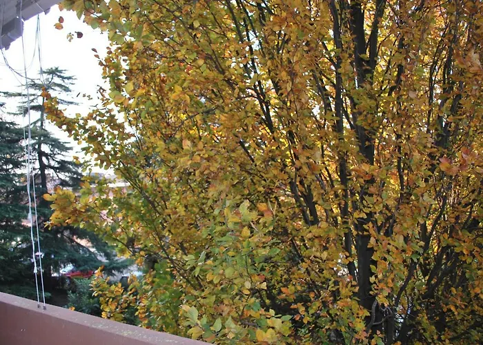 Alojamento de Acomodação e Pequeno-almoço Bio Salix Pádua