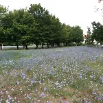 Bio Salix Πάδοβα