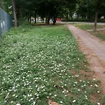 Bed and Breakfast Bio Salix Πάδοβα