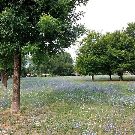 Bed and breakfast Bio Salix 3*