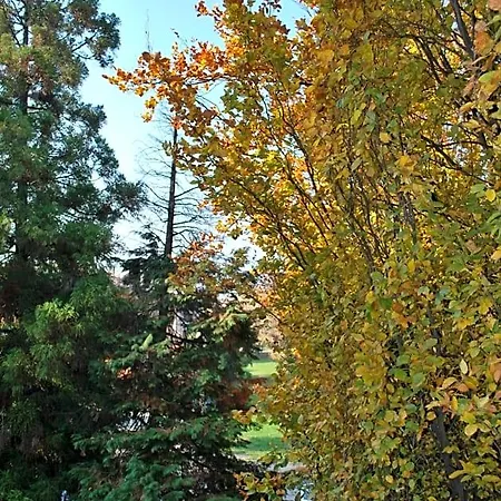 Bio Salix Bed & Breakfast 3*