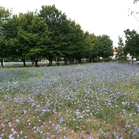 Bio Salix Oda ve Kahvaltı Padova