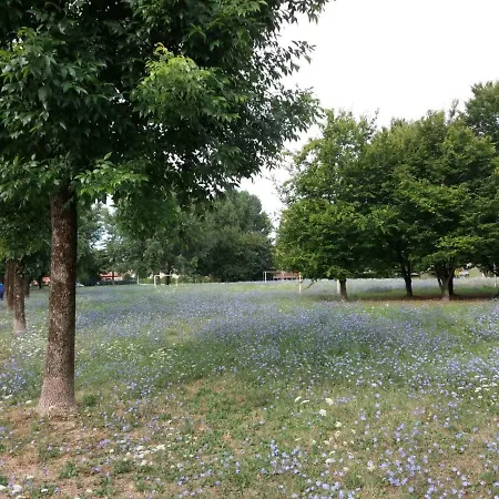 Oda ve Kahvaltı Bio Salix