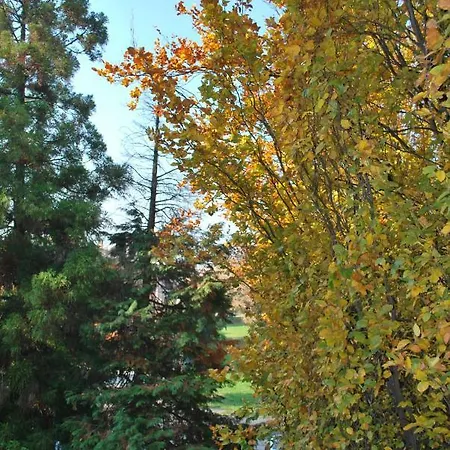 Oda ve Kahvaltı Bio Salix Padova