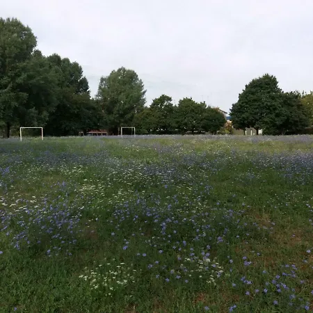 Bio Salix Bed & Breakfast 3*