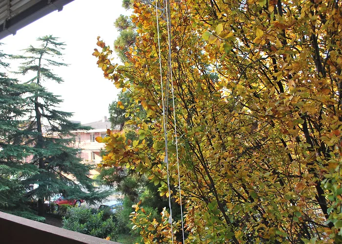 Bio Salix Panzió Padova
