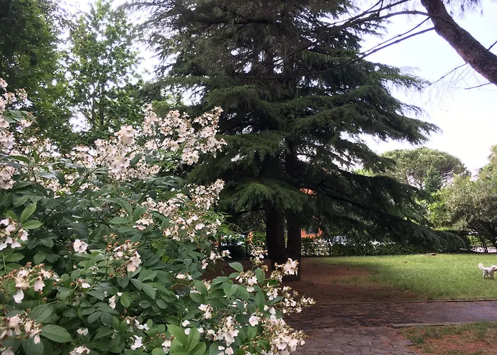Bio Salix 3* Padua